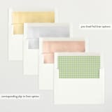 "Birth Stats Label" - Birth Announcements in Lime by Shirley Lin Schneider - Envelope Liner Options