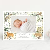 "Jungle Friends" - Birth Announcements in Jungle by Morgan Ramberg - Front