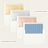 "Pictured Here" - Birth Announcements in Skyfall by Christie Garcia - Envelope Liner Options