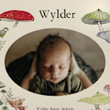 "Woodland wonder" - Birth Announcements in Lichen by Bonnie Davis - Detail