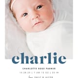 "Bold Nickname" - Birth Announcements in Bluebird by Shirley Lin Schneider - Detail