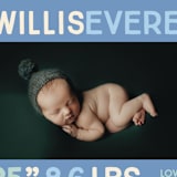 "Colorful Stats" - Birth Announcements in Aqua by Baumbirdy - Detail