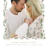 "Ribbonly Frame" - Birth Announcements in Blush by Itsy Belle Studio - Detail