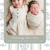 "Cottage Watercolor Ribbon" - Birth Announcements in Periwinkle by Jackie Crawford - Detail