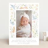 "Baby Garden" - Birth Announcements in Sky by Eve Schultz - Front