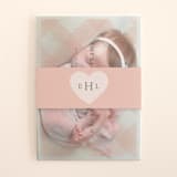 "gingham baby" - Birth Announcement Belly Bands in Princess by Susan Asbill - Front