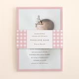 "Classic Bunny" - Birth Announcement Belly Bands in Blush by Megan Davis - Front