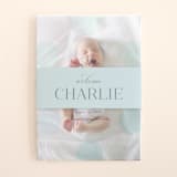 "Softest Dots" - Birth Announcement Belly Bands in Aqua by Jessica Williams - Front