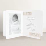 "The Trio" - Birth Announcement Booklette™ Cards in Soft Peach by Hooray Creative - Interior Option - 2