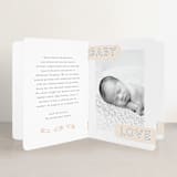 "The Trio" - Birth Announcement Booklette™ Cards in Soft Peach by Hooray Creative - Interior Option - 1