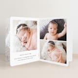 "Big Script" - Birth Announcement Booklette™ Cards in Smoke by Genna Blackburn - Interior Option - 1
