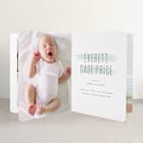 "brushed gallery" - Birth Announcement Booklette™ Cards in Mint by Susan Asbill - Interior Option - 2