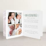 "brushed gallery" - Birth Announcement Booklette™ Cards in Mint by Susan Asbill - Interior Option - 1