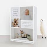 "Love Multiplies" - Birth Announcement Booklette™ Cards in Dusty Blue by Julie Murray - Front