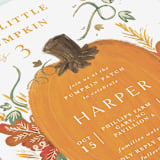 "Pumpkin Patch" - Children's Birthday Party Invitations in Pumpkin by Corie Page - Detail