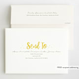 "Little Sunshine" - Children's Birthday Party Invitations in Daffodil by Karidy Walker - FREE Recipient Addressing
