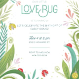"Little Love Bug" - Children's Birthday Party Invitations in Ladybug by Gia Graham - Detail