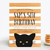 "Striped Cat" - Children's Birthday Party Invitations in Candy Corn by Haley McCoy - Front