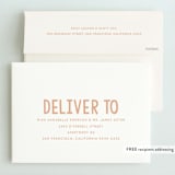 "Bday Twins" - Children's Birthday Party Invitations in Creamsicle by Baumbirdy - FREE Recipient Addressing