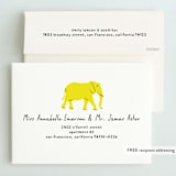 "modern safari party" - Children's Birthday Party Invitations in Sun by Phrosné Barwood - FREE Recipient Addressing
