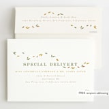 "Disney Princess Tiana's Dress" - Children's Birthday Party Invitations in Southern Cream by Kate Ross - FREE Recipient Addressing