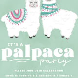 "PALpaca" - Children's Birthday Party Invitations in Aqua by Jessie Steury - Detail
