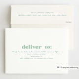 "PALpaca" - Children's Birthday Party Invitations in Aqua by Jessie Steury - FREE Recipient Addressing
