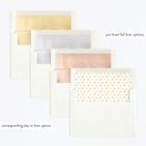 "Disney's and Pixar Toy Story Friends" - Children's Birthday Party Invitations in Taupe by Sabrin Deirani - Envelope Liner Options