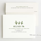 "Let's Fiesta" - Children's Birthday Party Invitations in Sage by Jen Banks - FREE Recipient Addressing