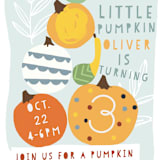 "Pumpkin Party" - Children's Birthday Party Invitations in Sky by Michelle Shanaman - Detail