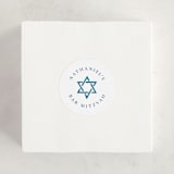 "Painted Star" - Children's Birthday Party Stickers in Lake by Olivia Raufman - In Use
