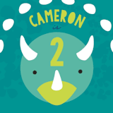"Tri Birthday" - Children's Birthday Party Stickers in Teal by Itsy Belle Studio - In Use
