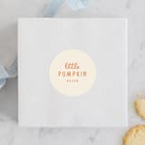 "A Little Pumpkin" - Children's Birthday Party Stickers in Pumpkin by Baumbirdy - Front