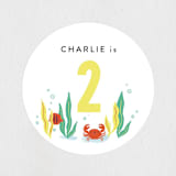 "Deep Dive" - Children's Birthday Party Stickers in Sea Green by Itsy Belle Studio - In Use