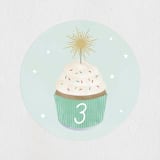 "Sparkler" - Children's Birthday Party Stickers in Spearmint by Lorent and Leif - Front