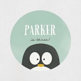"Penguin Party" - Children's Birthday Party Stickers in Mint by Brianne Larsen - Front