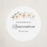 "Aura Botánica" - Children's Birthday Party Stickers in Blush by Itsy Belle Studio - Front