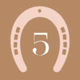 "Pretty Pony" - Children's Birthday Party Stickers in Rose by Corinne Malesic - In Use