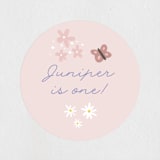 "Garden" - Children's Birthday Party Stickers in Wisteria by Hudson meet Rose - In Use