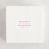 "Tanti Baci" - Children's Birthday Party Stickers in Apricot by Olivia Raufman - In Use