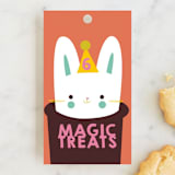 "Magic" - Children's Birthday Party Favor Tags in Melon by Lori Wemple - Front