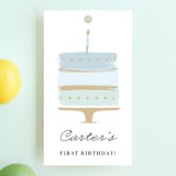 "Brushed Cake" - Children's Birthday Party Favor Tags in Sky by Oma N. Ramkhelawan - Front