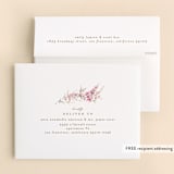 "Meadow" - Baptism and Christening Thank You Cards in Powder by Phrosné Barwood - FREE Recipient Addressing