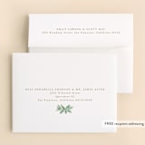 "Botanically" - Baptism and Christening Thank You Cards in Mint by Everett Paper Goods - FREE Recipient Addressing
