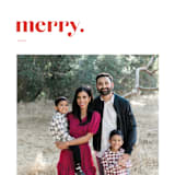 "Bold Merry" - Holiday Cards in Cranberry by That Girl Press - Detail