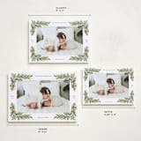 "Petite Pines" - Holiday Cards in Pine by Paper Raven Co. - Formats Available