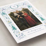 "Wonders of Nature" - Holiday Cards in Blue Spruce by Petra Kern - Detail