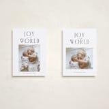 "the modern" - Holiday Cards in Ice by Christy Hy Lee - Photo Orientation Options
