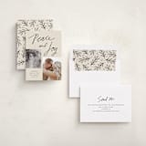 "Blessings of Peace & Joy" - Holiday Cards in Cream by Kercia Jane - Assembled