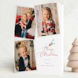 "Holiday Snapshots" - Holiday Cards in Holly by Joanna Griffin - Folded Card